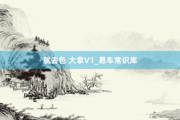 就去色 大拿V1_易车常识库