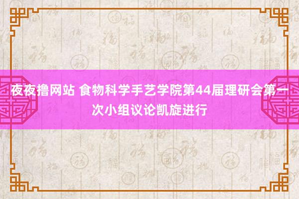 夜夜撸网站 食物科学手艺学院第44届理研会第一次小组议论凯旋进行