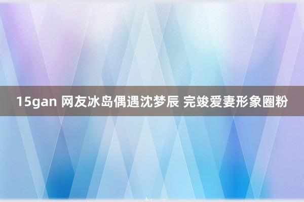 15gan 网友冰岛偶遇沈梦辰 完竣爱妻形象圈粉