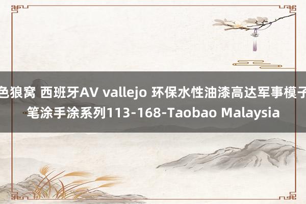 色狼窝 西班牙AV vallejo 环保水性油漆高达军事模子笔涂手涂系列113-168-Taobao Malaysia