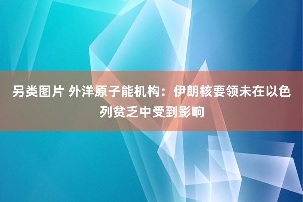 另类图片 外洋原子能机构：伊朗核要领未在以色列贫乏中受到影响