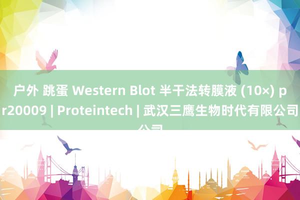 户外 跳蛋 Western Blot 半干法转膜液 (10×) pr20009 | Proteintech | 武汉三鹰生物时代有限公司