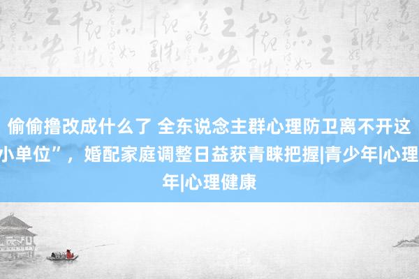 偷偷撸改成什么了 全东说念主群心理防卫离不开这个“小单位”，婚配家庭调整日益获青睐把握|青少年|心理健康