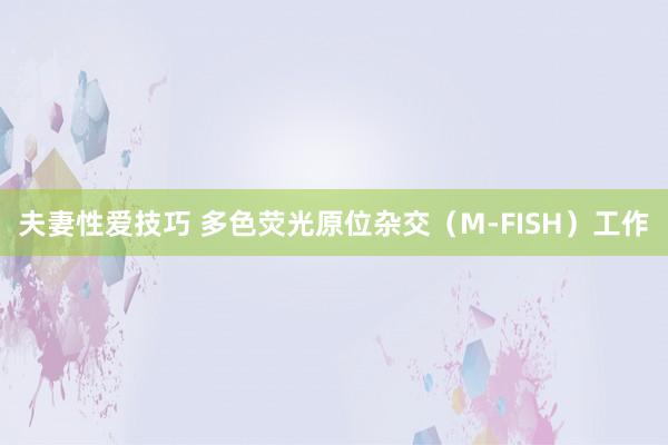 夫妻性爱技巧 多色荧光原位杂交（M-FISH）工作