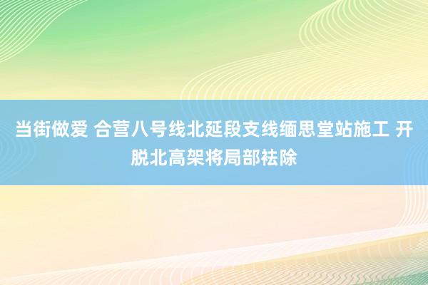 当街做爱 合营八号线北延段支线缅思堂站施工 开脱北高架将局部袪除