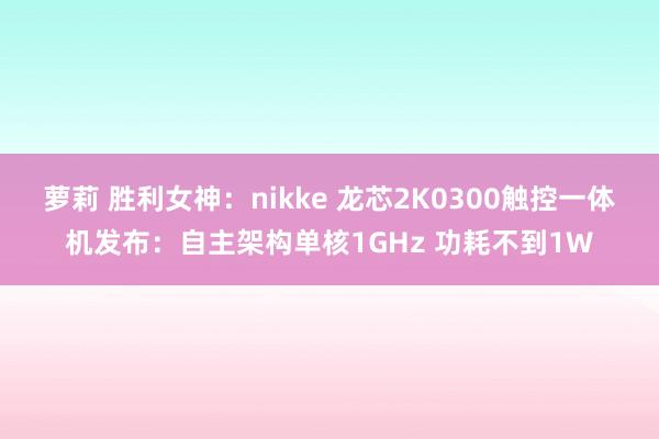 萝莉 胜利女神：nikke 龙芯2K0300触控一体机发布：自主架构单核1GHz 功耗不到1W